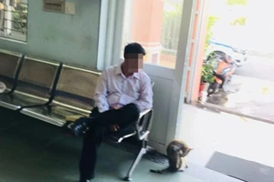 Bị dừng xe, đưa thẻ công an giả xin bỏ qua