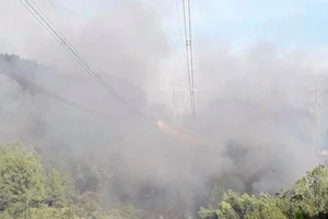 Đám cháy gần đường dây 500 kV, hệ thống điện có đảm bảo?