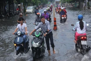 Cơn mưa chiều nay có dập tắt cháy rừng ở Bắc miền Trung?