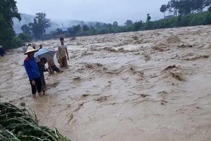 Sau cháy rừng tới nỗi lo sạt lở