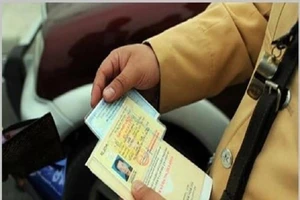 TP.HCM: Cấp lại giấy phép lái xe ở đâu?
