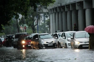 Xử lý cây xanh trên đường Nguyễn Hữu Cảnh như thế nào?