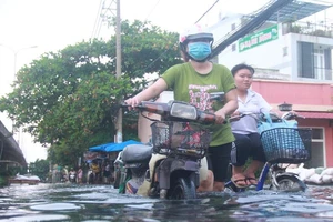 Chú ý an toàn điện khi có triều cường