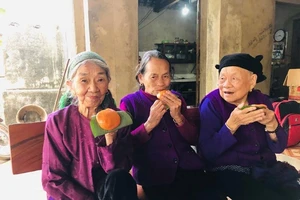 Xuân này lại nhớ bánh giầy xưa