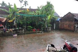 Thái Nguyên: Chiều 30 Tết xuất hiện mưa đá