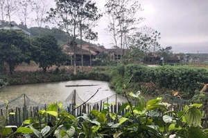 Thái Nguyên: Mùng 1 tết có mưa rào