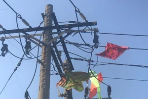 Lý do không ngờ gây mất điện trên diện rộng 