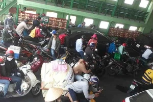 Duy trì hoạt động của phà Cát Lái cho đến khi có chỉ đạo mới