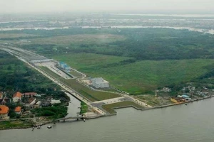 Thiết kế cầu Thủ Thiêm 4 theo ý tưởng 'tre Việt Nam'