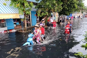 Chỉ đạo khẩn về đảm bảo an toàn điện tại khu vực ngập úng 