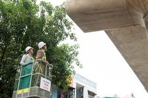 Rớt gối cao su: Hội đồng Nghiệm thu Nhà nước kiểm tra 