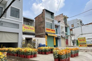 Người dân trên tuyến metro số 2 tân trang nhà cửa đón tết