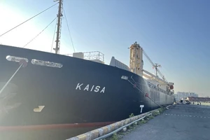 Nóng: Đoàn tàu số 2 của metro 1 chính thức cập cảng Khánh Hội