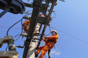 EVNSPC: Đảm bảo điện cho bầu cử tại các tỉnh, thành phía Nam