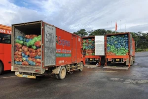 Tập đoàn Phương Trang hỗ trợ 1.000 tấn nông sản tiếp sức TP.HCM chống dịch