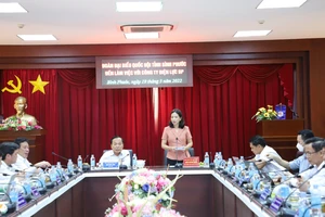 Đoàn Đại biểu Quốc hội tại các tỉnh phía Nam ghi nhận đóng góp của ngành điện