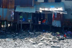 TP.HCM: Xử lý nghiêm công trình trái phép trên bờ sông, kênh rạch