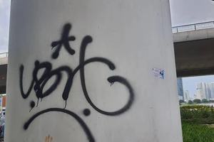 Gắn camera để trị nạn vẽ bậy, xả rác ở TP.HCM