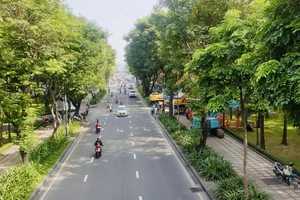 Dự án Trần Quốc Hoàn - Cộng Hòa: Sử dụng một phần công viên làm đường tạm