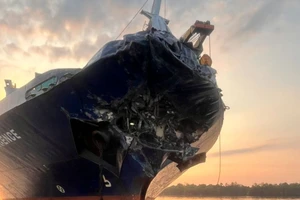 Hai tàu chở container tông nhau đến móp đầu