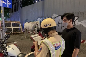 Hình ảnh đời thực của 'bạch mã hoàng tử' cưỡi ngựa ở TP.HCM