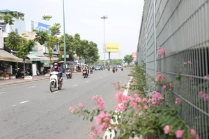 Hàng loạt dạ cầu ở TP.HCM có diện mạo mới