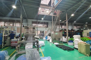 TP.HCM tiết kiệm được 294,80 triệu kWh điện trong 6 tháng