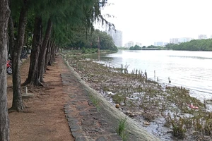 Bình Chánh đề xuất mở phố đêm Trung Sơn