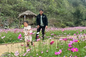 Thung lũng tình yêu, điểm check in hấp dẫn ở tỉnh Thái Nguyên