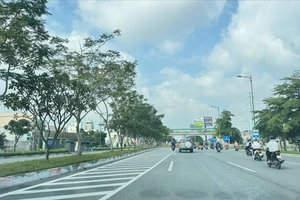 Sở GTVT TP.HCM nói gì về đề xuất bỏ vạch xương cá?