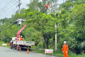 Điện lực TP.HCM tăng cường kiểm tra, đảm bảo toàn điện mùa mưa bão