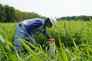 Khi nào chi trả bồi thường dự án cao tốc TP.HCM - Mộc Bài?