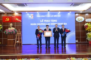Điện lực Miền Nam đón nhận huân chương lao động hạng Ba 