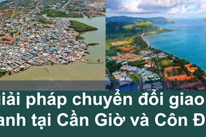 Chi tiết 6 tuyến xe buýt điện mới sẽ hoạt động ở đặc khu Côn Đảo