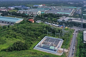 Điện lực Miền Nam: Vượt khó thành công, hoàn thành xuất sắc nhiệm vụ 2025