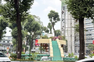 Xuyên trưa tô điểm cho hồ Con Rùa ở TP.HCM