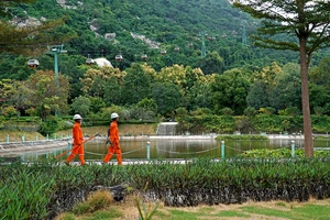 Ngành điện miền Nam sẵn sàng đảm bảo cấp điện Tết Bính Ngọ 2026