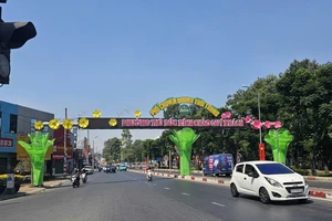 Phường Thủ Đức chỉnh trang đường phố, công viên đón Tết