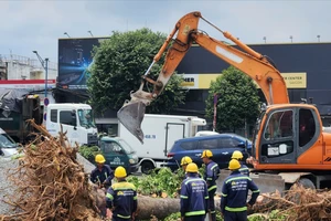 TP.HCM xử lý hơn 450 cây xanh để làm metro số 2
