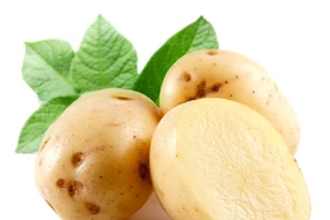 7 loại rau củ sống có nguy cơ ngộ độc cao