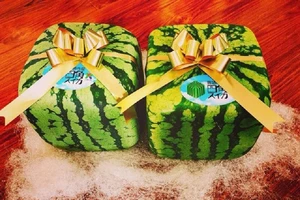 Dưa hấu vuông Nhật siêu đắt 4,5 triệu/quả bị người Việt chê 