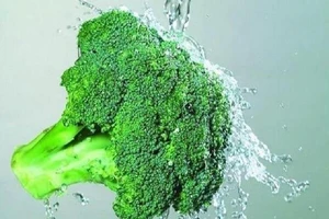 Làm sao phát huy hiệu quả loại rau phòng được 7 loại ung thư?