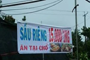 Sầu riêng siêu rẻ 19.000 đồng/kg có ngon như lời đồn? 