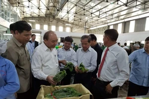 Thủ Tướng Nguyễn Xuân Phúc thăm một mô hình nông nghiệp cao tại Lâm Đồng