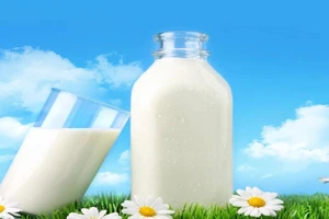 Những bệnh gì không nên uống sữa vào buổi sáng? 