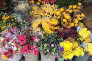 Giá nấm ngày rằm tăng đột biến