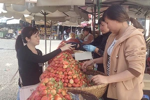 Hô biến sản phẩm Hà Nội thành... đặc sản Đà Lạt