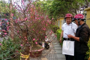 Một mùa Tết buồn với nhiều người bán hoa