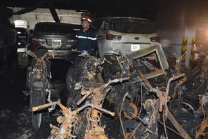 Năm Bảy Bảy không phải là chủ đầu tư chung cư Carina?