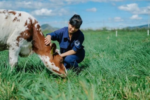 Bất công: Sữa Vinamilk chịu thuế 40%, sữa Thái chỉ 1% 